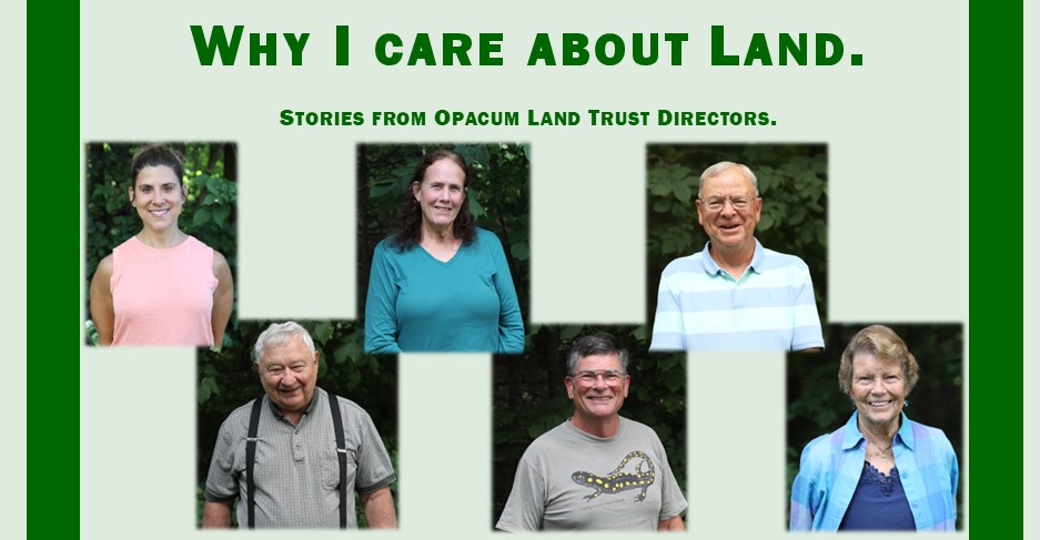 Why I care about Land