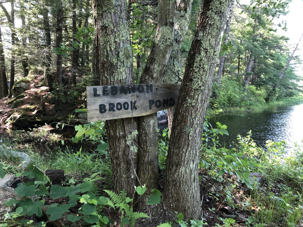 Forest Legacy Program grant awarded Opacum Land Trust