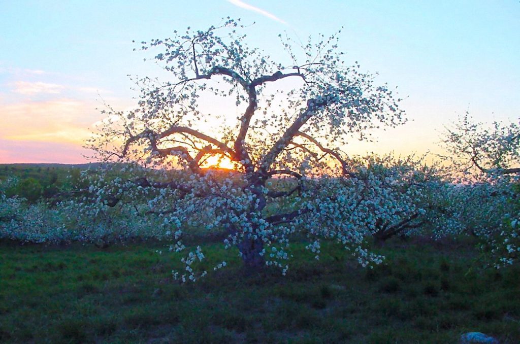 Flynt Quarry Opacum Land Trust